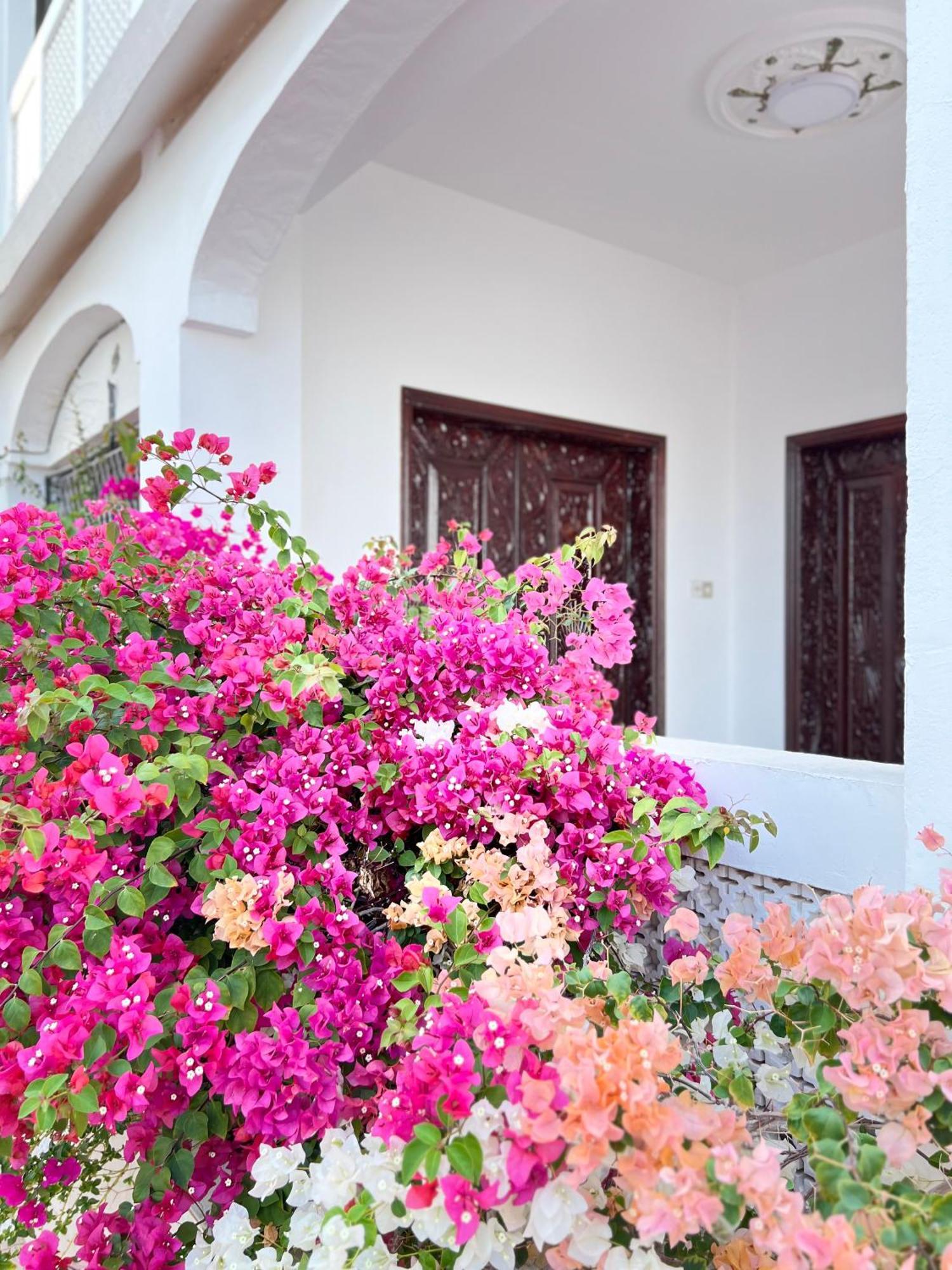 Miras Hostel